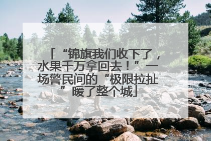 “锦旗我们收下了，水果千万拿回去！”一场警民间的“极限拉扯”暖了整个城