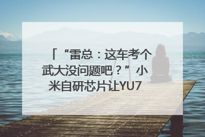 “雷总：这车考个武大没问题吧？”小米自研芯片让YU7会学习｜汽车科技