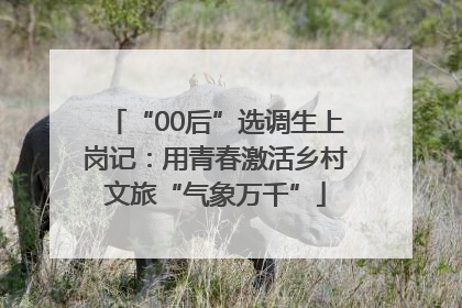 “00后”选调生上岗记：用青春激活乡村文旅“气象万千”