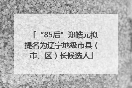 “85后”郑皓元拟提名为辽宁地级市县（市、区）长候选人
