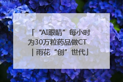 “AI眼睛”每小时为30万粒药品做CT｜雨花“创”世代