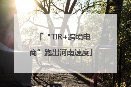 “TIR+跨境电商”跑出河南速度