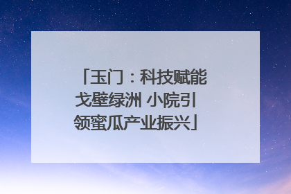 玉门：科技赋能戈壁绿洲 小院引领蜜瓜产业振兴