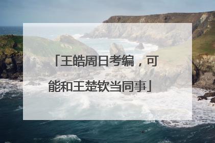 王皓周日考编，可能和王楚钦当同事