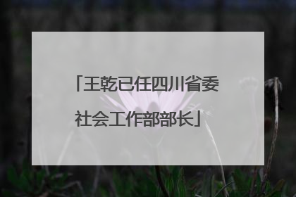王乾已任四川省委社会工作部部长