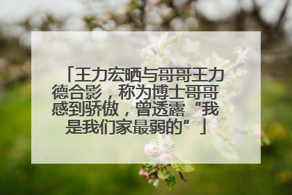 王力宏晒与哥哥王力德合影，称为博士哥哥感到骄傲，曾透露“我是我们家最弱的”