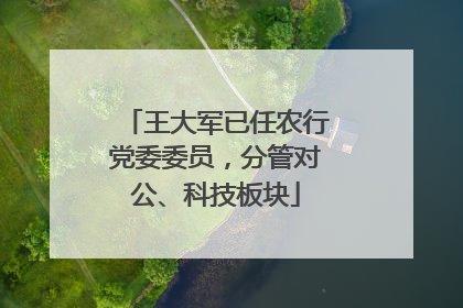 王大军已任农行党委委员，分管对公、科技板块