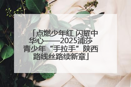 点燃少年红 闪耀中华心——2025浦莎青少年“手拉手”陕西路线丝路续新章