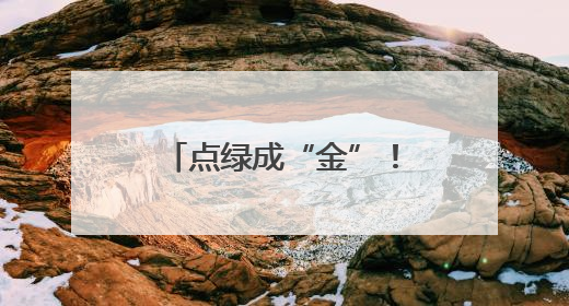 点绿成“金”！保康林下经济产值突破9亿元