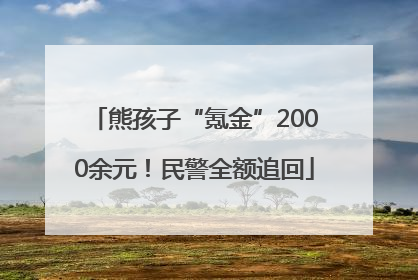 熊孩子“氪金”2000余元！民警全额追回