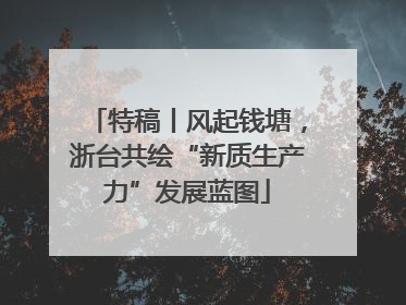 特稿丨风起钱塘，浙台共绘“新质生产力”发展蓝图