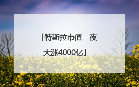 特斯拉市值一夜大涨4000亿