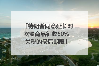 特朗普同意延长对欧盟商品征收50%关税的最后期限