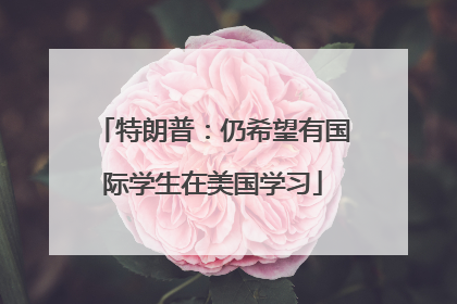 特朗普：仍希望有国际学生在美国学习