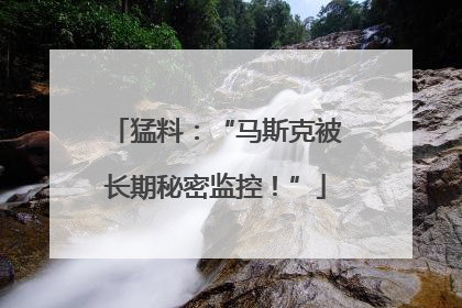 猛料：“马斯克被长期秘密监控！”