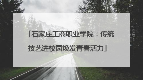 石家庄工商职业学院：传统技艺进校园焕发青春活力