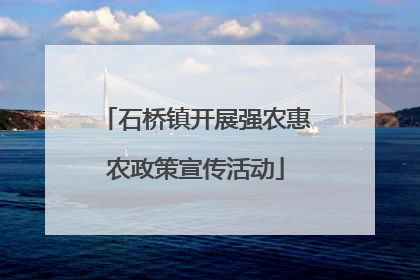 石桥镇开展强农惠农政策宣传活动