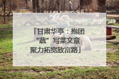 甘肃华亭：抱团“蔬”写菜文章 聚力拓宽致富路