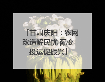 甘肃庆阳：农网改造解民忧 配变投运促振兴