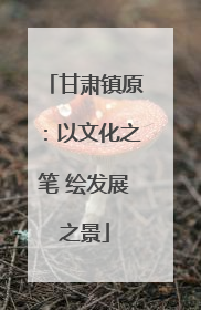 甘肃镇原：以文化之笔 绘发展之景