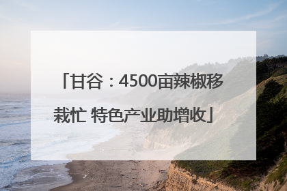 甘谷：4500亩辣椒移栽忙 特色产业助增收