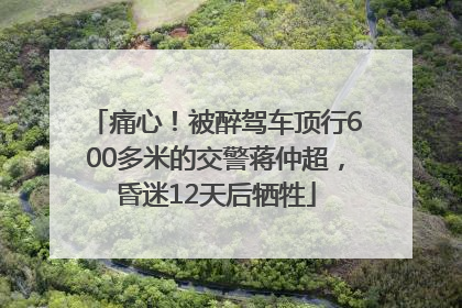 痛心！被醉驾车顶行600多米的交警蒋仲超，昏迷12天后牺牲