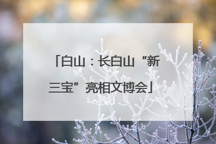 白山：长白山“新三宝”亮相文博会