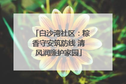 白沙湾社区：粽香守安筑防线 清风润廉护家园