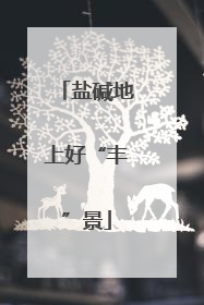 盐碱地上好“丰”景