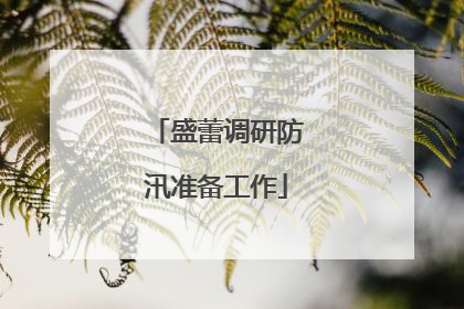 盛蕾调研防汛准备工作