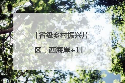 省级乡村振兴片区，西海岸+1