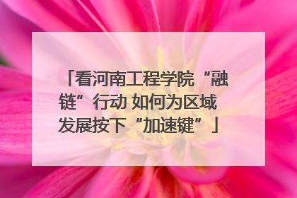 看河南工程学院“融链”行动 如何为区域发展按下“加速键”