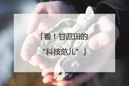 看！甘蔗田的“科技范儿”