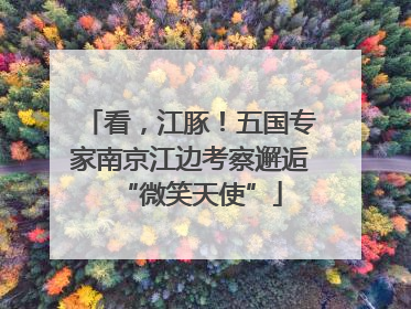 看，江豚！五国专家南京江边考察邂逅“微笑天使”