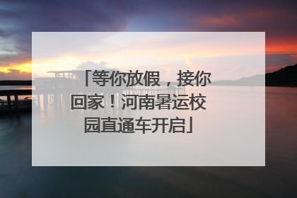等你放假，接你回家！河南暑运校园直通车开启
