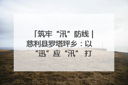 筑牢“汛”防线｜慈利县罗塔坪乡：以“迅”应“汛” 打赢暴雨防御战