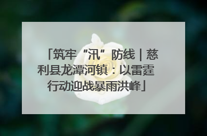 筑牢“汛”防线｜慈利县龙潭河镇：以雷霆行动迎战暴雨洪峰
