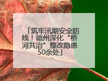筑牢汛期安全防线！德州深化“桥河共治”整改隐患50余处