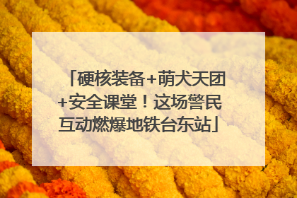 硬核装备+萌犬天团+安全课堂！这场警民互动燃爆地铁台东站