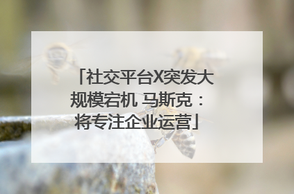 社交平台X突发大规模宕机 马斯克：将专注企业运营