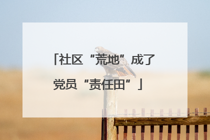 社区“荒地”成了党员“责任田”