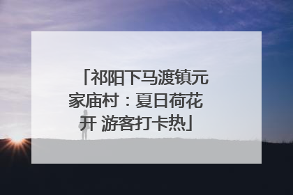 祁阳下马渡镇元家庙村：夏日荷花开 游客打卡热