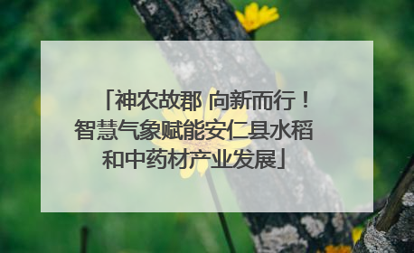 神农故郡 向新而行！智慧气象赋能安仁县水稻和中药材产业发展