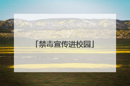 禁毒宣传进校园