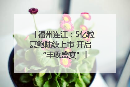 福州连江：5亿粒夏鲍陆续上市 开启“丰收盛宴”
