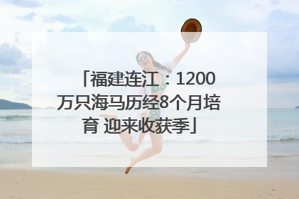 福建连江：1200万只海马历经8个月培育 迎来收获季