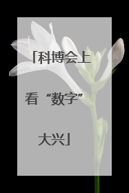 科博会上看“数字”大兴