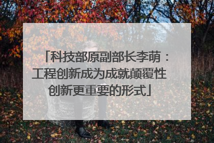 科技部原副部长李萌：工程创新成为成就颠覆性创新更重要的形式