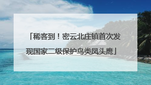 稀客到！密云北庄镇首次发现国家二级保护鸟类凤头鹰