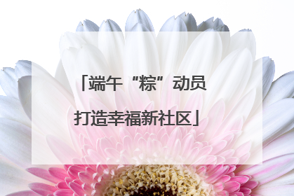 端午“粽”动员 打造幸福新社区